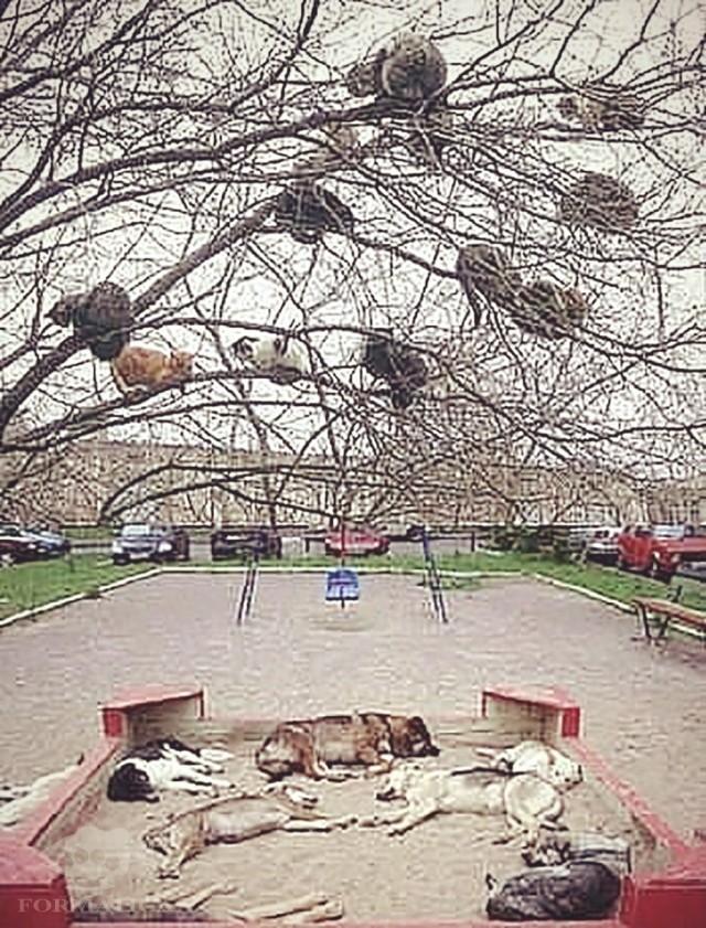 Бредзона 01.09.2020