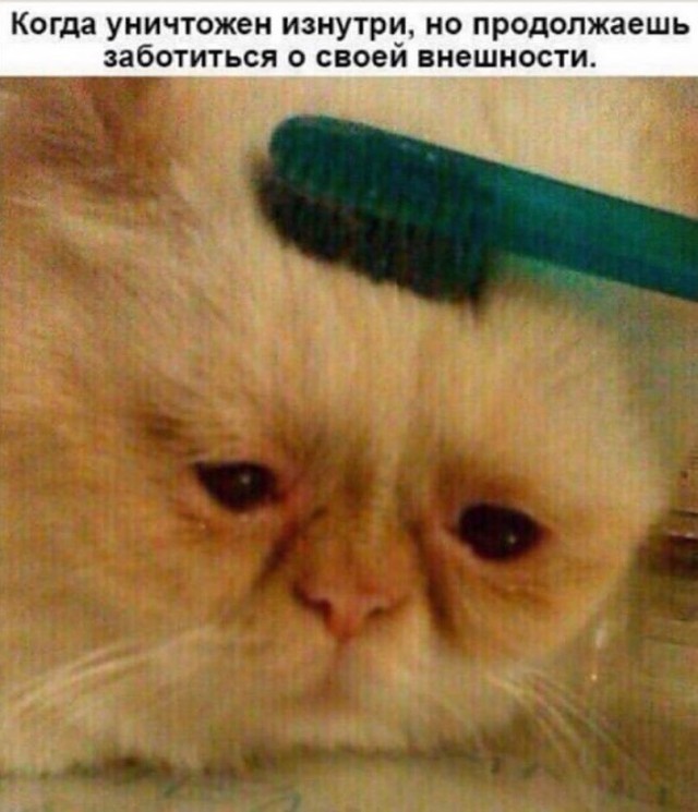 Просто добрые картинки. Всем хорошего дня!