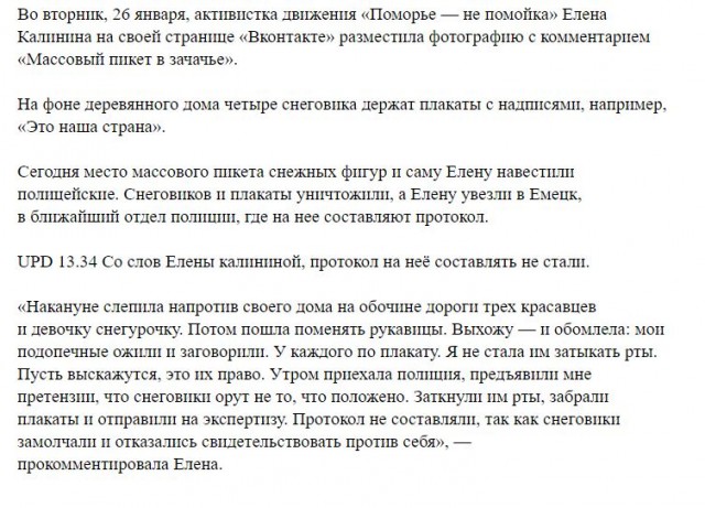 В Архангельской области полиция пришла к женщине из-за снеговиков с плакатами против Путина