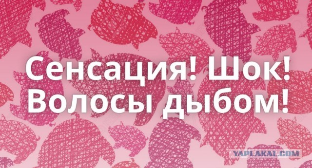 Пандемия. Коронавирус. Россия и мир. Последняя информация. Часть 25
