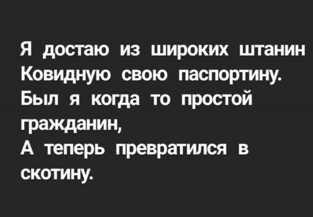 Всякие разные картинки 22.11.2021
