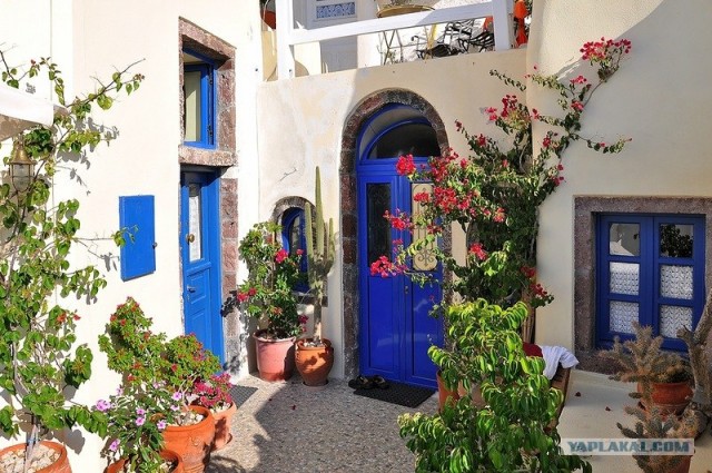 Любовь с первого взгляда