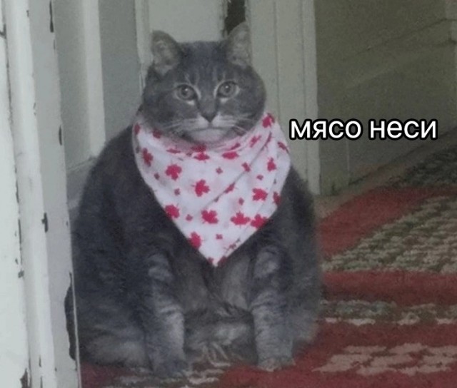 А у нас пополнение
