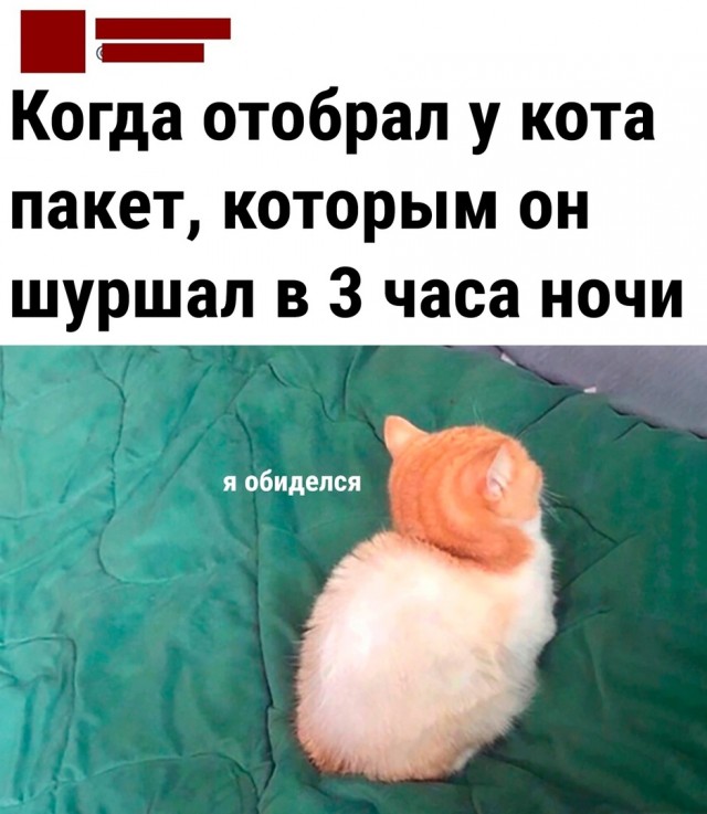 Так себе картинки 17.11.22