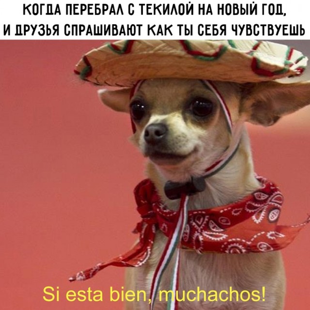 Немного картинок для настроения - 131