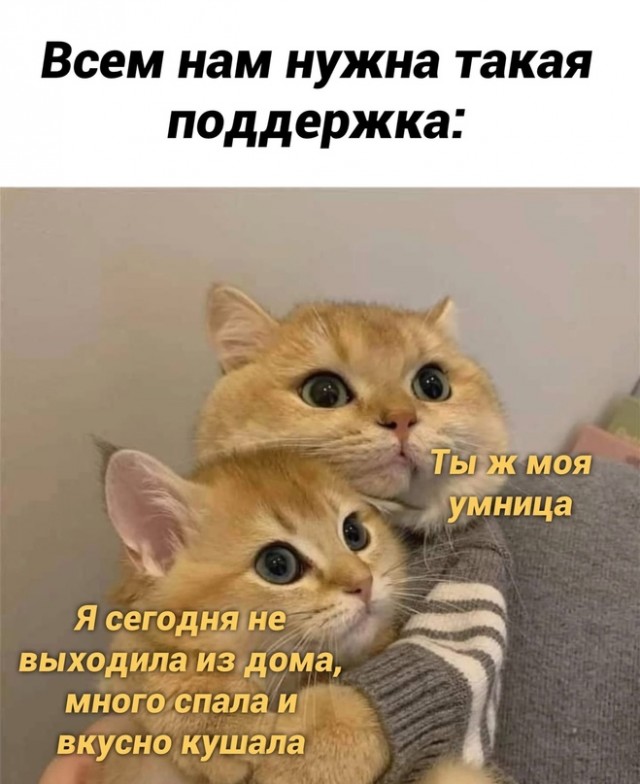 Картинки и мемы для настроения - 125