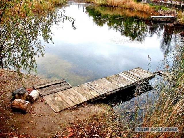 Как я провёл этой зимой