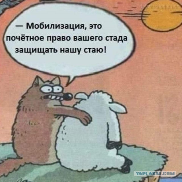 Поправки в закон о воинской обязанности и воинской службе