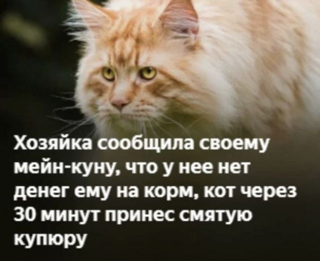 Подборка картинок 05.05.2023