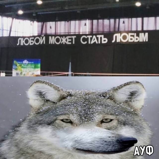 Картинки и мемы для настроения - 187