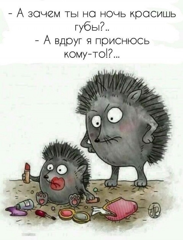 Так себе картинки 11.09.23