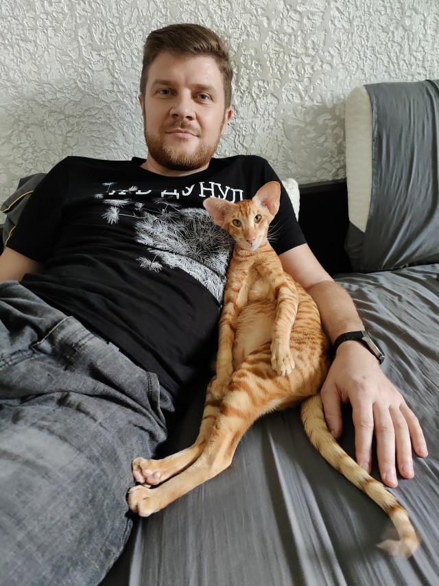 Котовторник Рыжих