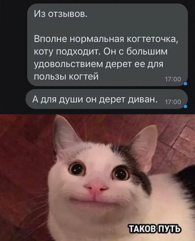 Картинок пост 1.11.2023