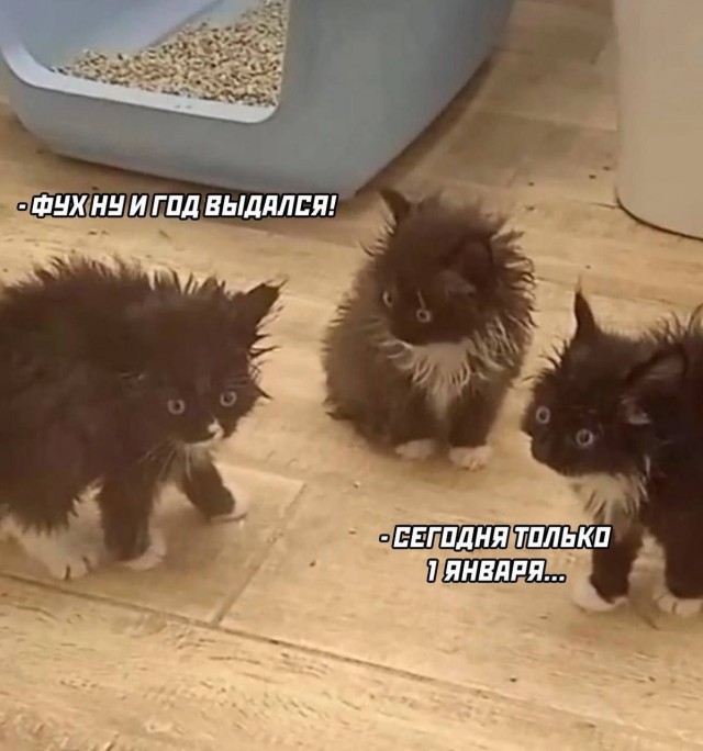В Японии происходит череда мощных землетрясений