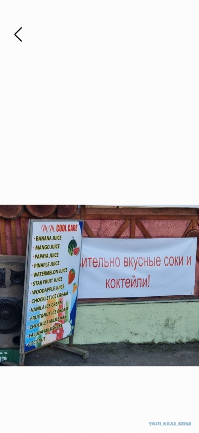 Перлы 30.01.24