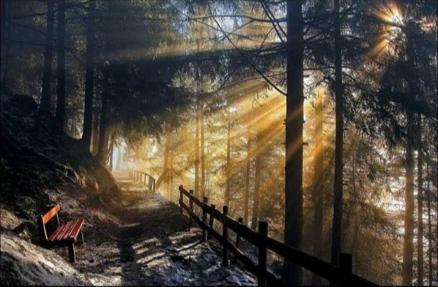 ФотоВинегрет