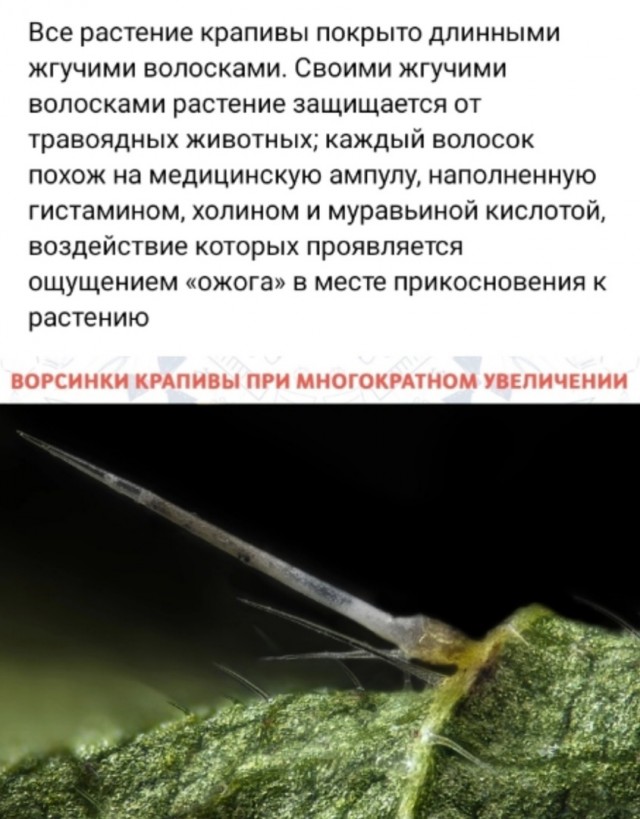 Так себе картинки 17.04.24