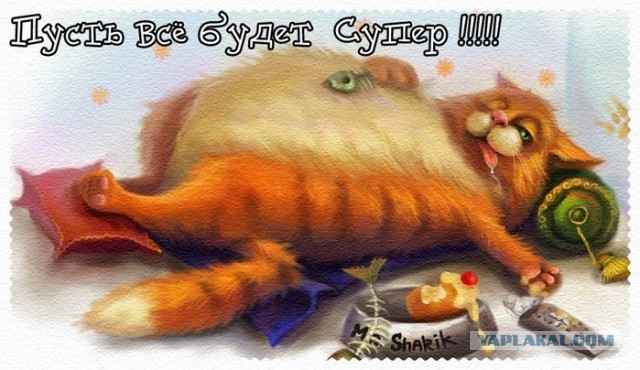 С ДНЕМ РОЖДЕНИЯ, ЯП!