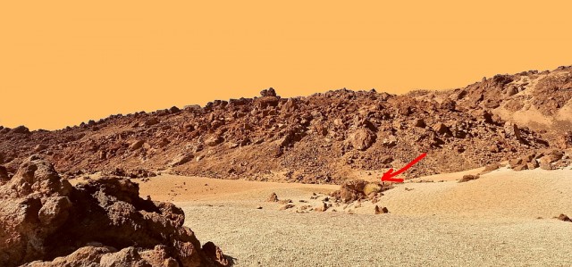 Новые находки указывают на то, что на древнем Марсе была среда, подобная земной