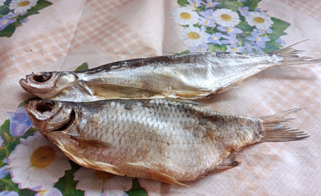 Куда  подастя ?