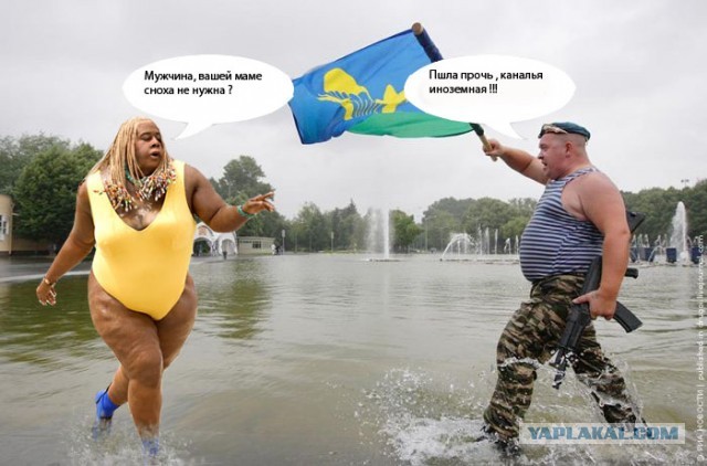 Референдум (толерантности псто)