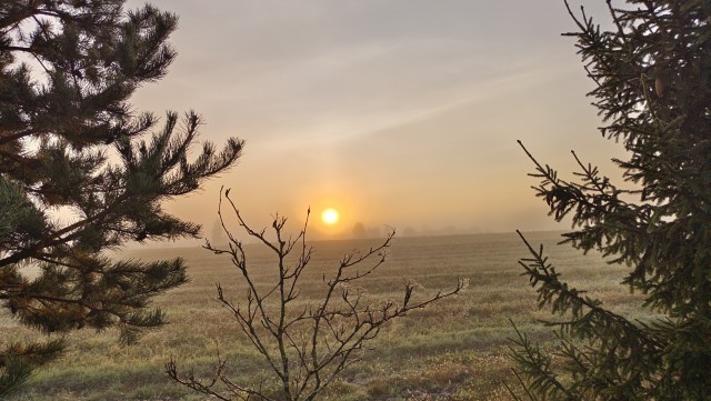 Рыбалка на реке Березина
