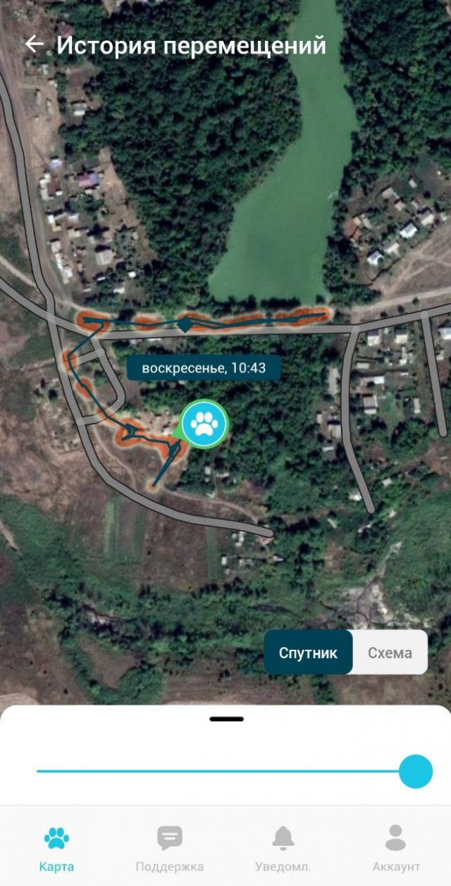 Веселая ферма: GPS трекеры для собак