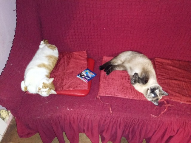 Блин. На меня пацан обиделся!