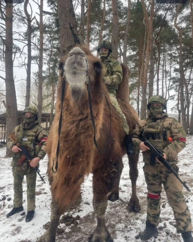 Тот самый друг, которому всегда весело