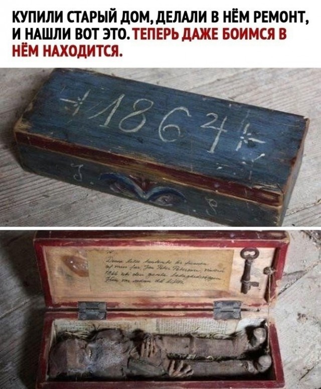 Так себе картинки 16.02.25