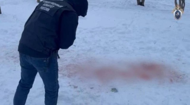 Появилось видео нападения собак на девочку