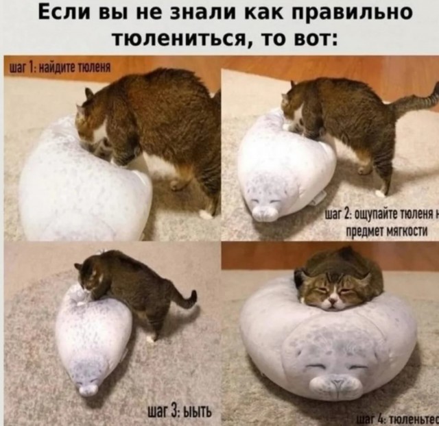 Завалялось тут случайно немного забавных картинок