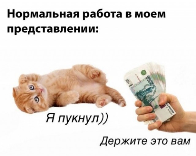 Рынок труда. Обстановка. И максимальная уверенность в себе