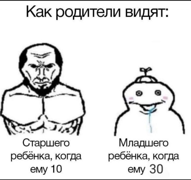 Смешные картинки с надписями и планы на лето 2025