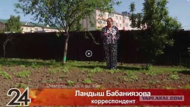 Ученые из Казани вывели пожирателя колорадского жука