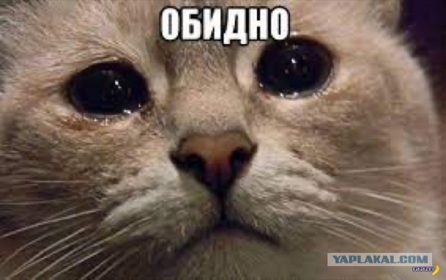 Промежуточные итоги ребрендинга легендарной автомобильной марки Jaguar.
