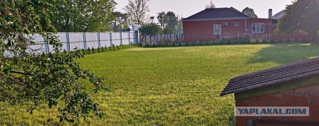 У всех бед одно начало