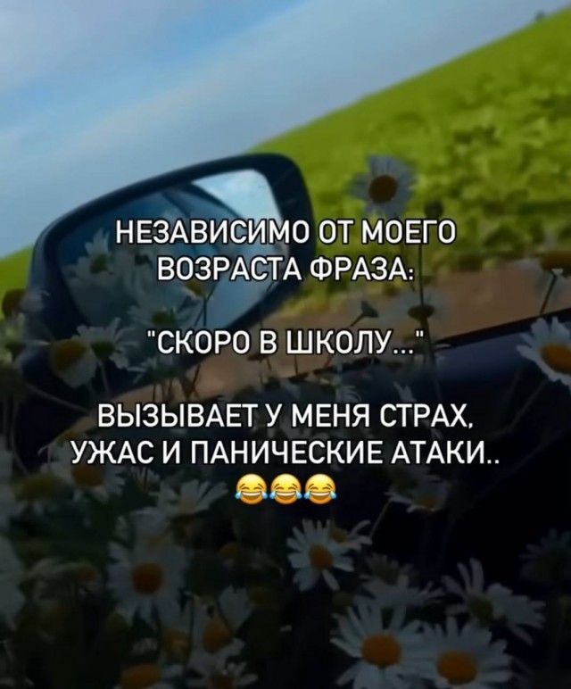 Так себе картинки 10.08.25