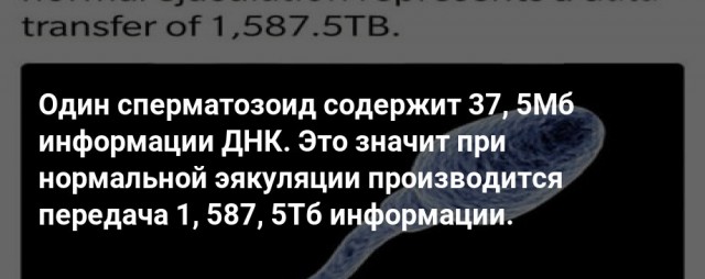 В Японии мэр попалась на свиданиях в отелях любви с женатым подчиненным