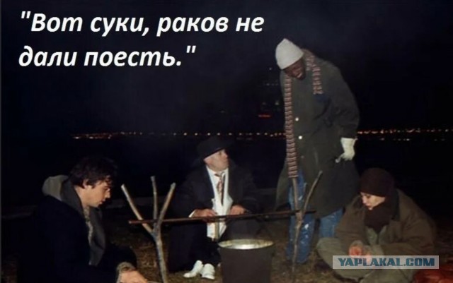 Членистоногие под пивко!