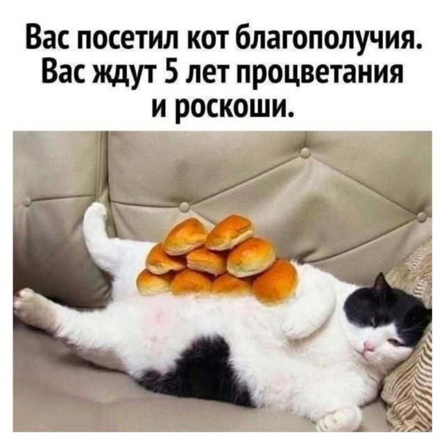Четверговые картинки