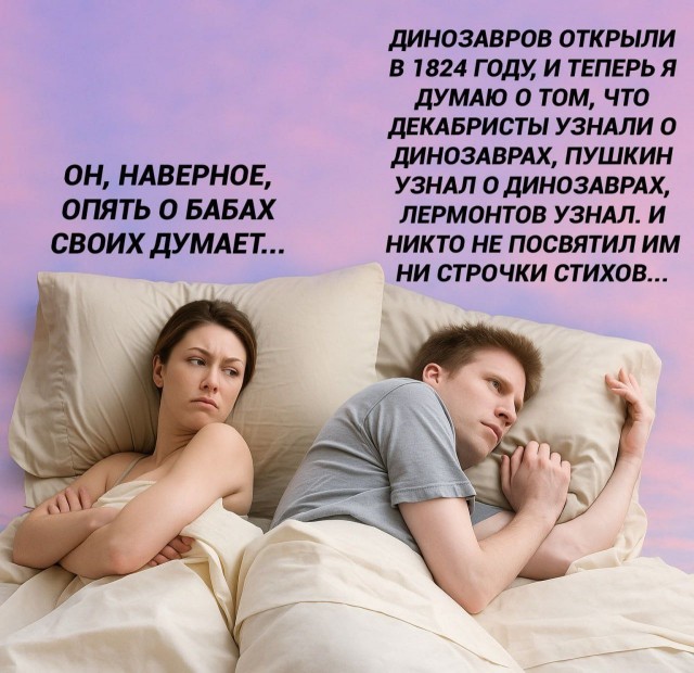 Веселые картинки в маленькую пятницу (24.12)