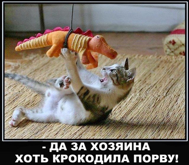 Вторника картинки
