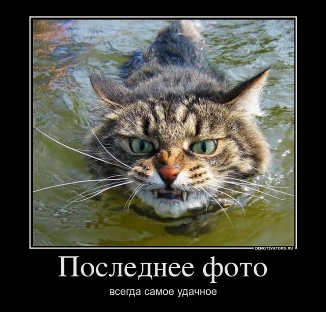 Склад баянов