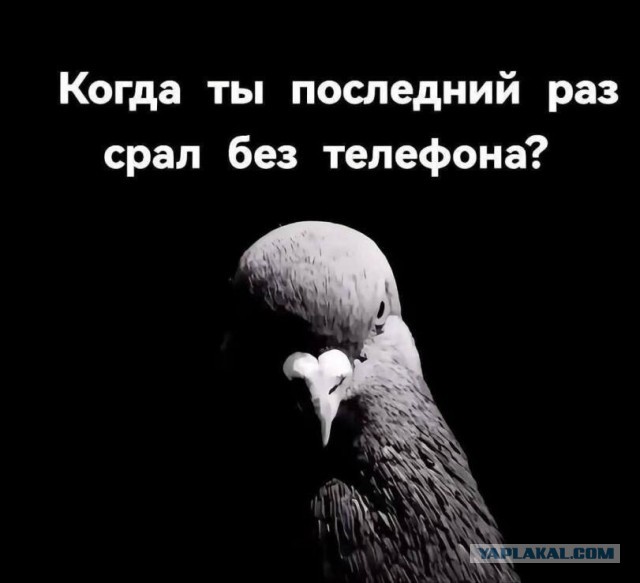 Картинки для деградации 158 (разной степени свежести)