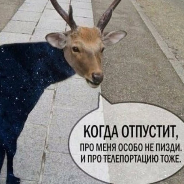 Катюша нас не забывает