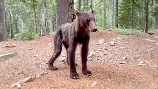 А теперь к действительно важным новостям