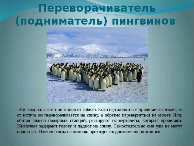 Хорошая работейка