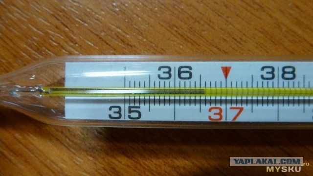 Впервые на сайте прочитал правдивый комментарий в темах о женщинах/мужчинах. Опрос