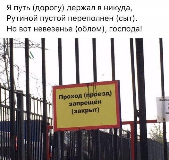 Картинки для деградации 240 (разной степени свежести)